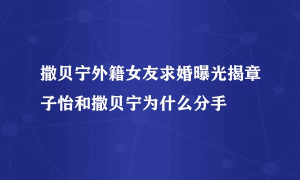 撒贝宁外籍女友求婚曝光揭章子怡和撒贝宁为什么分手