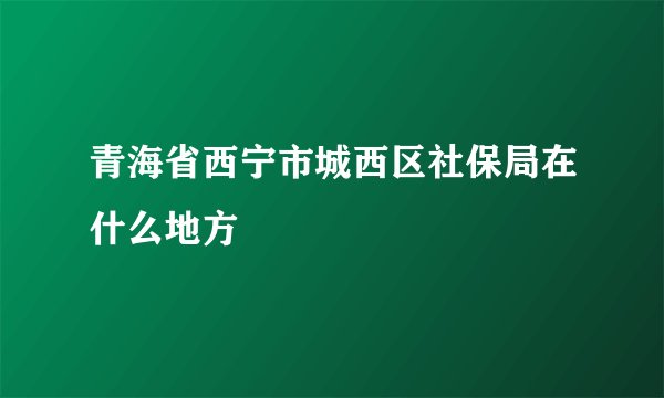 青海省西宁市城西区社保局在什么地方