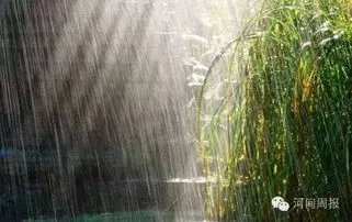华北迎入汛最强降雨,会不会对当地的收成造成影响呢?