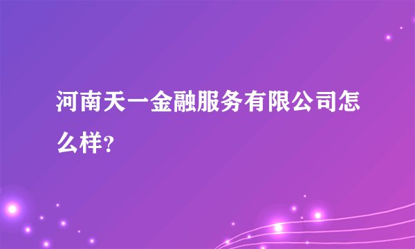 河南天一金融服务有限公司怎么样？
