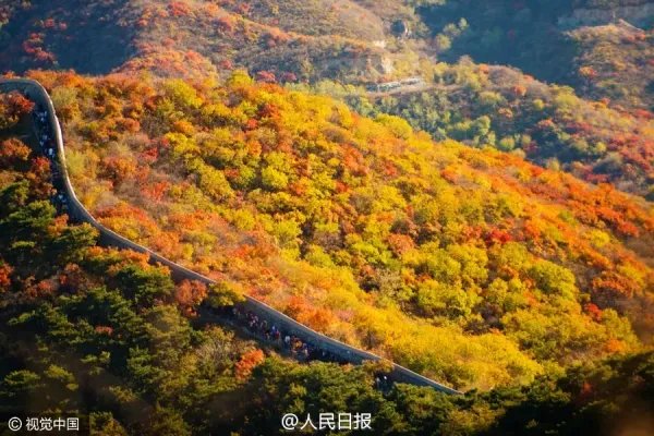 香山红叶观赏高峰期已至,最佳的观赏线路是什么?