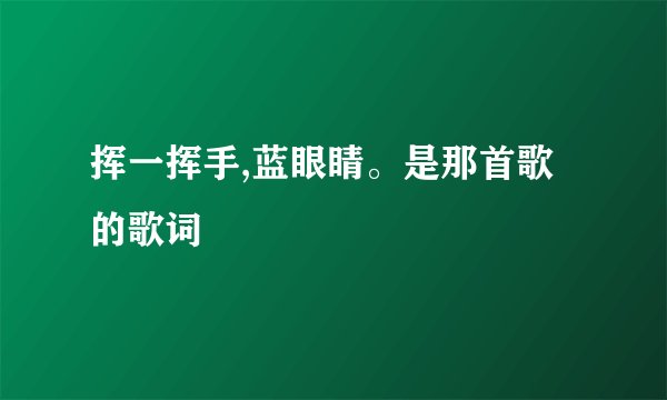 挥一挥手,蓝眼睛。是那首歌的歌词