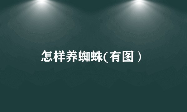 怎样养蜘蛛(有图）