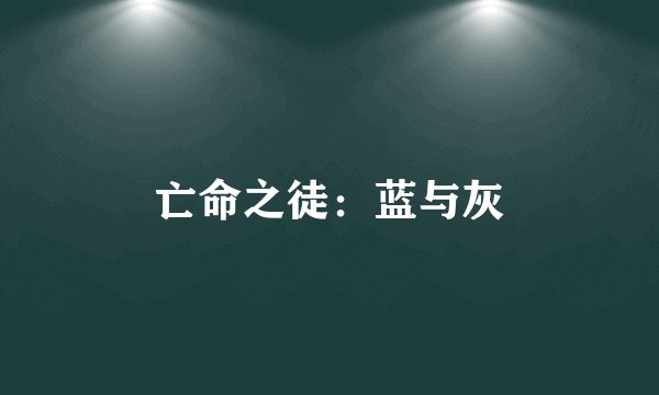 亡命之徒：蓝与灰