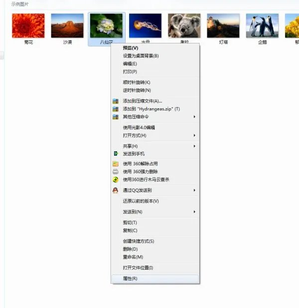 XP系统鼠标放在照片上的照相时间怎么修改