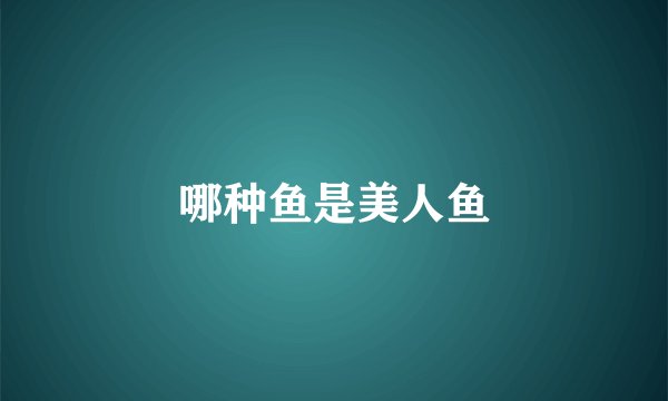 哪种鱼是美人鱼