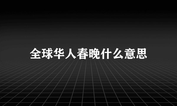 全球华人春晚什么意思