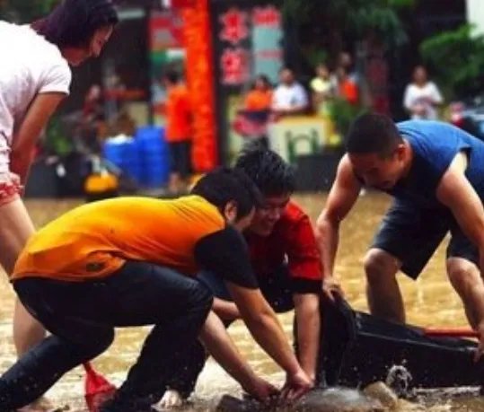 贵州暴雨路被淹,市民街头撒网捕鱼,这些鱼是从哪里的?
