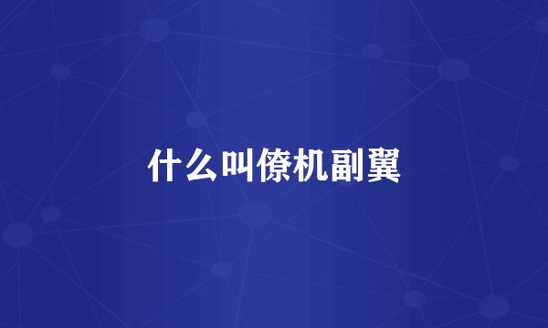 什么叫僚机副翼