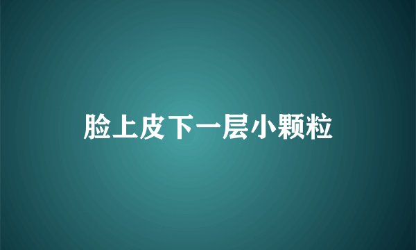 脸上皮下一层小颗粒