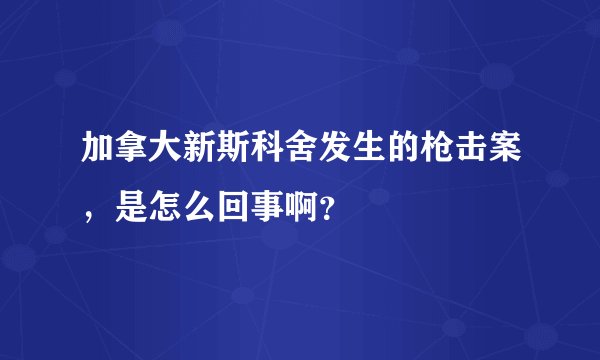 加拿大新斯科舍发生的枪击案,是怎么回事啊?