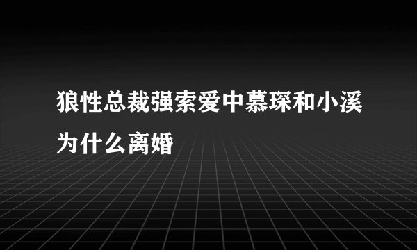 狼性总裁强索爱中慕琛和小溪为什么离婚