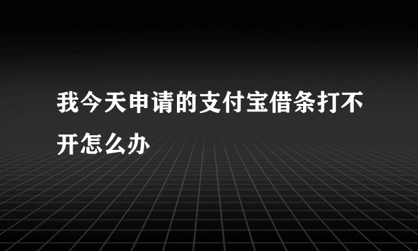 我今天申请的支付宝借条打不开怎么办