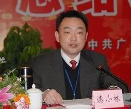 漆小林的简介