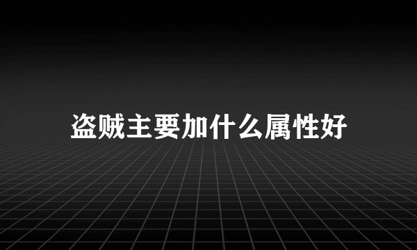盗贼主要加什么属性好