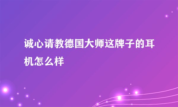 诚心请教德国大师这牌子的耳机怎么样