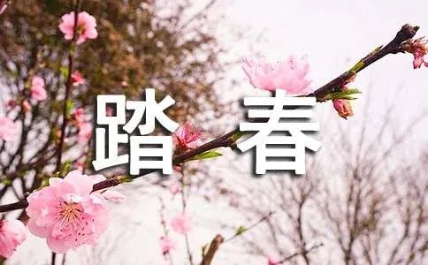 踏春的作文