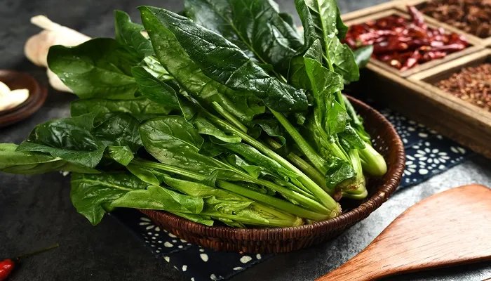 香菜产地 香菜产地在什么地方