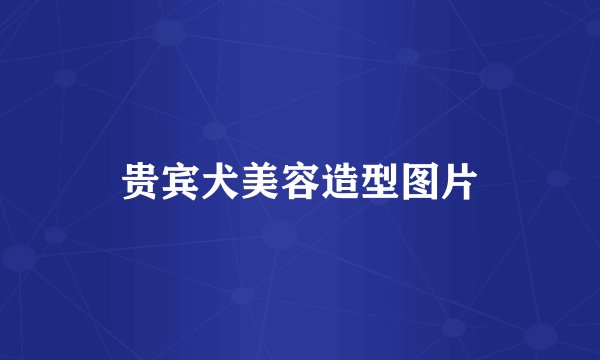 贵宾犬美容造型图片