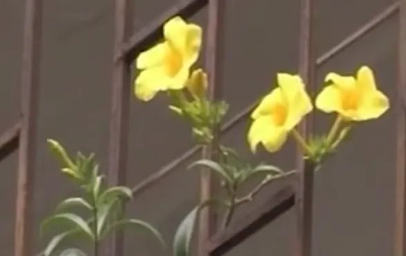 山西1岁男童打点滴后死亡,事件的后续有何最新进展?