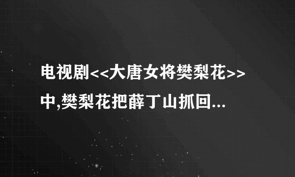 电视剧<<大唐女将樊梨花>>中,樊梨花把薛丁山抓回去做压寨丈夫,后面一集讲了什么?请详细讲一下后面的剧情
