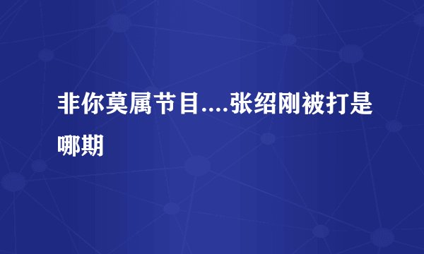 非你莫属节目....张绍刚被打是哪期