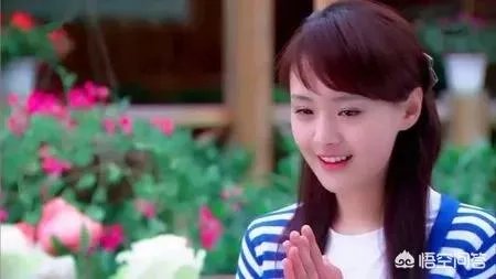 你们觉得郑爽与沈月谁最好看?
