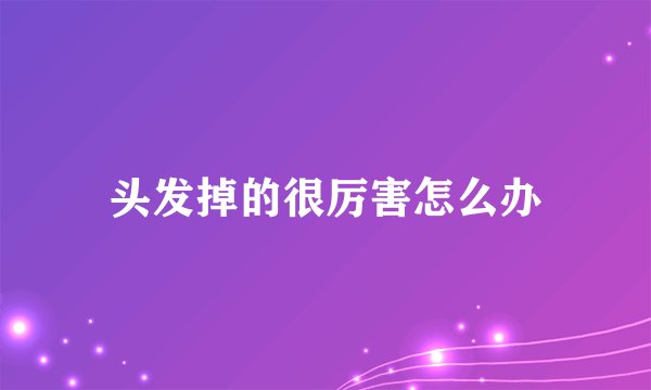 头发掉的很厉害怎么办
