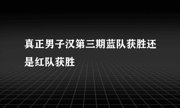 真正男子汉第三期蓝队获胜还是红队获胜