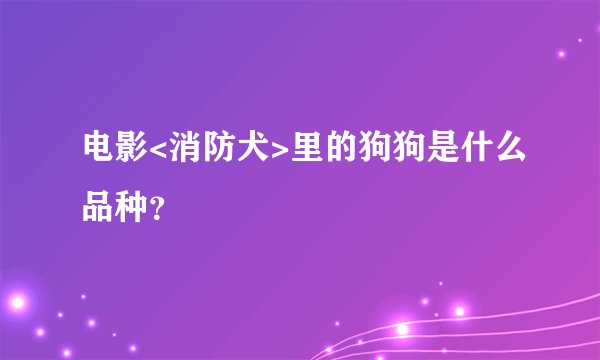 电影<消防犬>里的狗狗是什么品种？