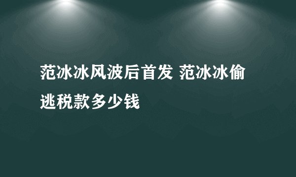 范冰冰风波后首发 范冰冰偷逃税款多少钱