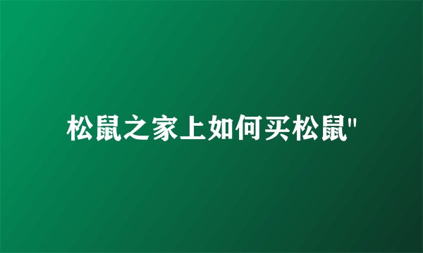 松鼠之家上如何买松鼠