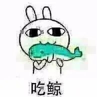 诺贝尔医学奖发现“熬夜令人变丑变笨”，你还敢晚睡吗？