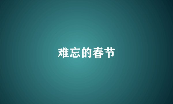 难忘的春节