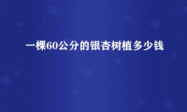 一棵60公分的银杏树植多少钱