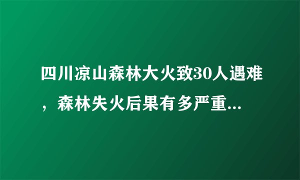 四川凉山森林大火致30人遇难,森林失火后果有多严重?如何预防与自救?