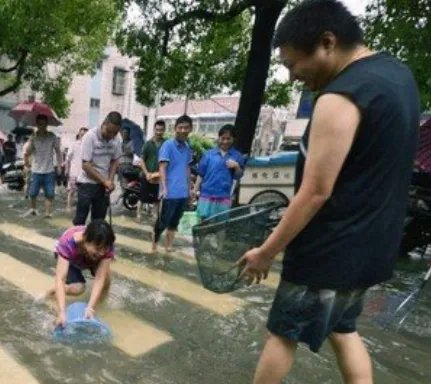贵州暴雨路被淹,市民街头撒网捕鱼,这些鱼是从哪里的?