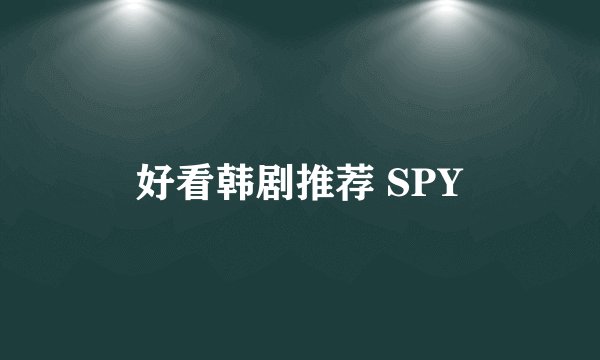 好看韩剧推荐 SPY