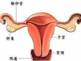 子宫癌是什么情况?
