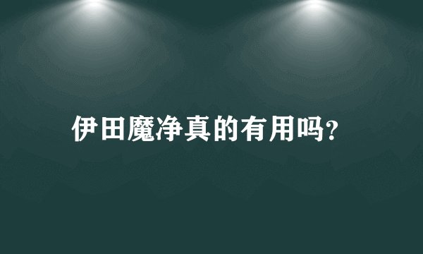 伊田魔净真的有用吗？