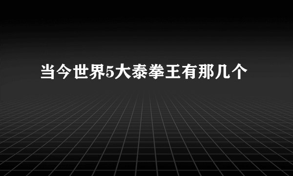 当今世界5大泰拳王有那几个