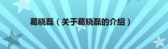 葛晓磊（关于葛晓磊的介绍）