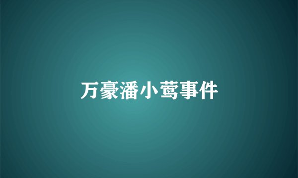 万豪潘小莺事件