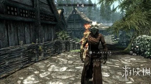 《上古卷轴5：天际》存档位置分享