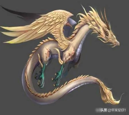 十大圣兽图片