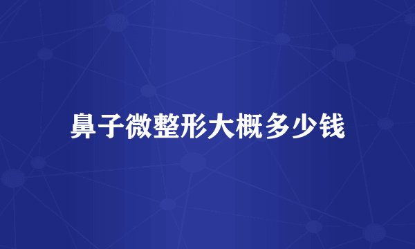 鼻子微整形大概多少钱