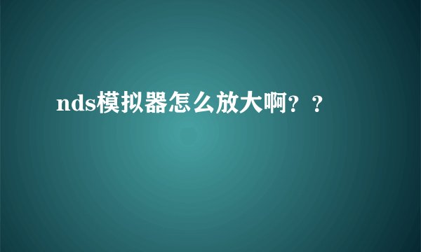 nds模拟器怎么放大啊？？