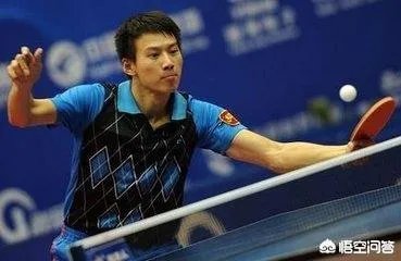 何卓佳VS索尔佳