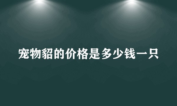 宠物貂的价格是多少钱一只