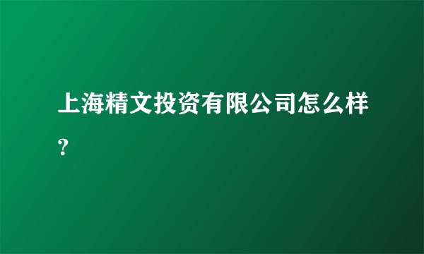 上海精文投资有限公司怎么样？